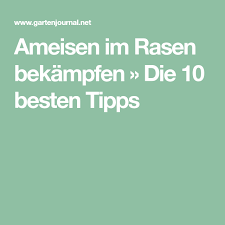 Ameisen Im Rasen Bekampfen Die 10 Besten Tipps Ameisen Richtig Vertikutieren Vertikutieren