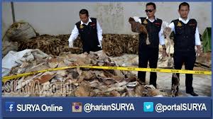 ~ ada di video ya bunda. Wuaduh Kulit Kulit Sapi Untuk Sepatu Ini Malah Dijadikan Cecek Dan Rambak Surya