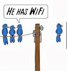 Funny Technology Community Google Wifi Funny Computer Jokes Computer Humor