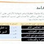 شهادة المكتبة التعليمية