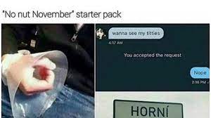 ''no nut november is a yearly internet challenge where participants are required to go through the entire month of november without ejaculating, or nutting. No Nut November Die Besten Memes Zum Enthaltsamkeits Monat