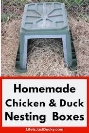 Nesting Boxes For Ducks. How To Make Your Own. - Life Is Just Ducky