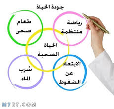 عبارات عن الجودة تصل بها لأعلى القمم