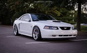 Image result for Oxford White 2001 Escape