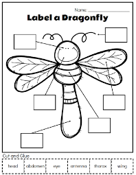 > bug and insect worksheets. Printable Preschool Bug Activities For Learning Fun Toys Diy Toys