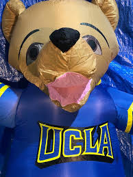 The two costumed bear mascots are specifically known as joe bruin and josephine bruin. the university had a real bear cub named little joe brown back in the 50s, but switched to students in mascot costumes by the early. 8 Gemmy Airblown Inflatable Ncaa Ucla Bruins Football Mascot