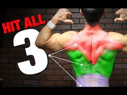 Upper back exercises are essential to incorporate into your workouts because they help you lift more and straighten your posture. Bodyweight Back Workout No Pullup Bar Youtube