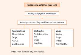 Image result for Liver Function Test Abnormality