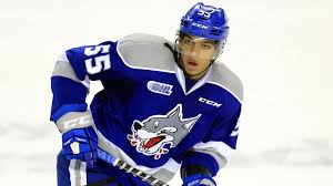 Ladies and gentlemen, welcome to the tim stutzle show. What Top Prospects Quinton Byfield And Tim Stuetzle Can Offer The Kings Los Angeles Times