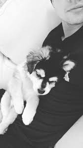 pin by abigail cruz on calum hood cutest dog on earth calum thomas hood thomas hood