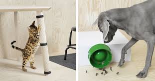 This brand manufactures ikea dog bed, bowls, food mats, pillows and more. Ikea S New Pet Furniture Collection Is Designed With Veterinarians