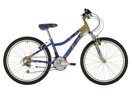 25 New Olive Garden Raleigh Bikes Girls Childrens Bike Kids Bike