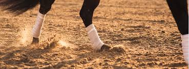Je vous livre ici une astuce naturelle très efficace dans le traitement des blessures type tendinite ou entorse. Mon Cheval A Une Tendinite C Est Grave Docteur Equisense Blog