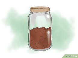 May 06, 2021 · bush beans and peas don't grow as tall, so they don't need extra support. How To Grow Kidney Beans With Pictures Wikihow