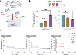Image result for Suramin