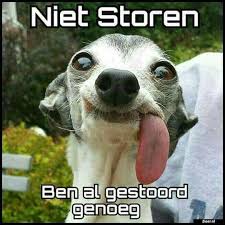 Profielfoto Grappige Videos Grappige Foto S Grappige Plaatjes
