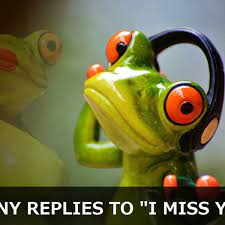 100 Funny And Sarcastic Replies To I Miss You Pairedlife
