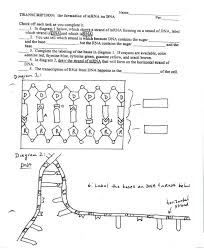 Dna Replication Coloring 12 2 Answer Transcription And Translation Color Worksheets Practices Worksheets