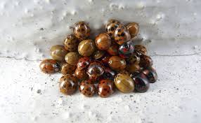 When the holidays arrive, they bring with it many favorite tastes and. How Do Cold Temperatures Affect Insects