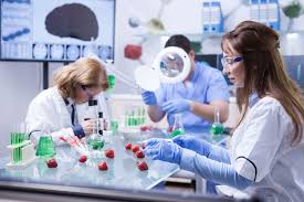 Food scientist job description template. Food Science Technology Louisiana Ag In The Classroom