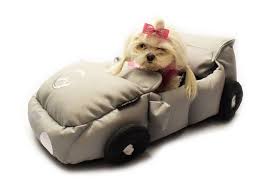 Die kleinen rennfahrer fahren mit diesem autobett auf ein. Auto Bett Cabrio Fur Hunde Grey