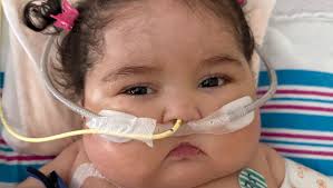 Fundraiser by Bianey Torres : For Ariel's Final Goodbye