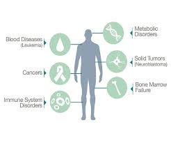 Cord blood contains all the normal elements of blood: What Is Cord Blood And Cord Blood Banking Cryo Cell