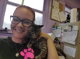 Shandy Miller (@shandyever)