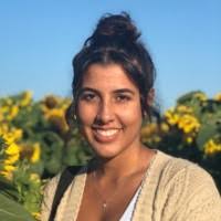 900+ "Beaucage" profiles