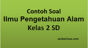 Soal ipa kelas x smk semester 2 beserta jawabannya. Contoh Soal Ipa Sd Kelas 2 Kurikulum 2013 Tahun Pelajaran 2020 2021 Beserta Kunci Jawabannya Ambarisna Com