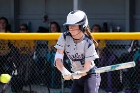 Division 4 Regional Softball Saturday, June, 8, 2019.