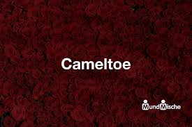 Camel toe is the name of the condition when the sexual organ of the women is projecting out from the pants. Cameltoe Bedeutung Und Definition Mundmische De