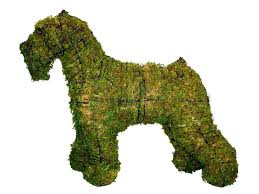 Although making topiary animals does require planning and preparation, it's a project that is completely possible to do. Topiary Dog Schnauzer Top Topiary