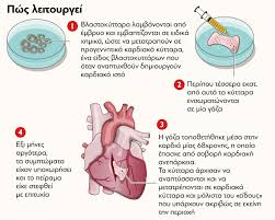Αλεξανδρου 5 κουφαλιων 57100 23910 53105 Giati Anelabe Kardiologos Ton Soymaxer Protagon Gr