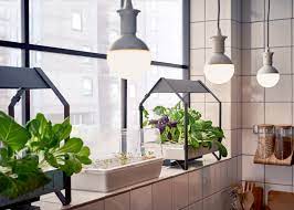 Check spelling or type a new query. Ikea Moves Into Indoor Gardening With Hydroponic Kit