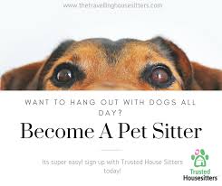 Set Up A Profile On Trusted House Sitters And Start Your House Sitting Journey Today How To Be A Pet Sitter How To Pet Sitters Pet Sitting Business Sitter