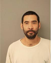 ᐅ Illinois Criminal Records 2009-2025