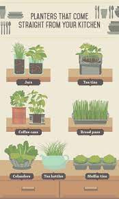 Indoor Edible Plants Indoor Vegetable Gardening Edible Plants Indoor Herb Garden