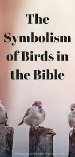 Symbolism Birds And Their Meanings Birds In The Bible A Fascinating Look At The Symbolism Of Doves And Sparrows Bible Facts Bible Knowledge Bible Study Help