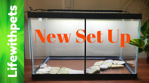 Here is my step by step setup with my favorite tank dividers ever. How To Set Up A Divided Betta Fish Tank In Depth Youtube