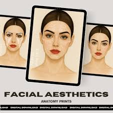 Veins and Arteries Aesthetics