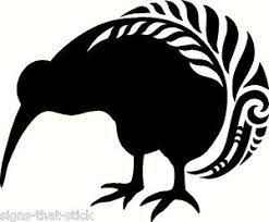 New Zealanders Kiwis Kiwi Newzealand Birds National Icon Unique Curious Pride Symbol Endearment P Bird Stencil New Zealand Symbols Maori Patterns