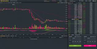 how to read crypto charts on binance for beginners the