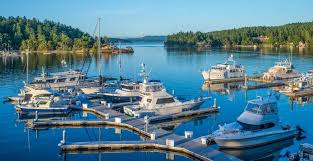 An island vacation on san juan island in…washington? San Juan Islands Bike Tour Bicycle Adventures