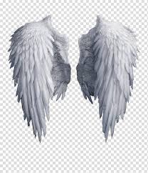 25 mobile walls 5 art 56 images 34 avatars 11 gifs. Download Free Png Angel Wings White Angel Wing Transparent Background Png Clipart Dlpng Com