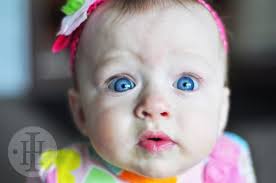 Ivory Hill Photography