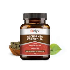 Image result for Alchornea cordifolia