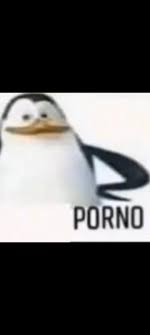 KGB BÜYÜK PORNO SİTESİ 4 AY SONRA AÇILIYOR : rKGBTR