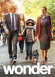 The best movies on netflix australia: Is Wonder On Netflix In Australia Where To Watch The Movie New On Netflix Australia New Zealand