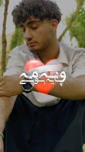 سی پی رایگان